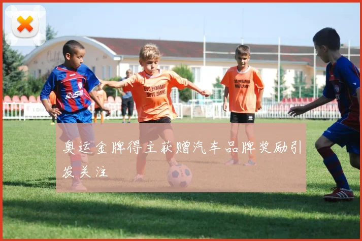 奥运金牌得主获赠汽车品牌奖励引发关注