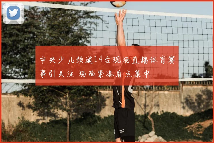 中央少儿频道14台现场直播体育赛事引关注 场面紧凑看点集中