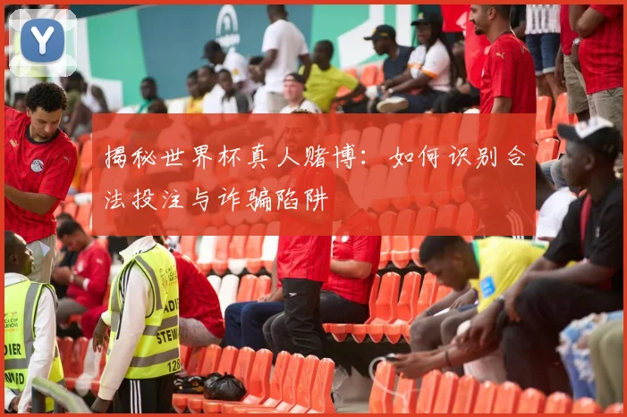 揭秘世界杯真人赌博：如何识别合法投注与诈骗陷阱