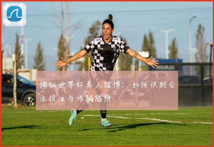 揭秘世界杯真人赌博:如何识别合法投注与诈骗陷阱