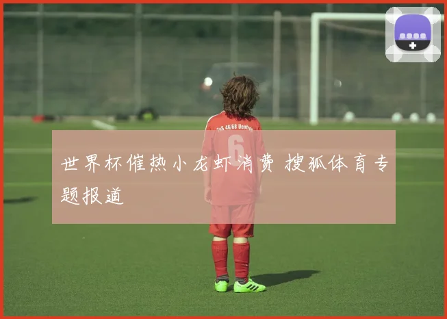 世界杯催热小龙虾消费 搜狐体育专题报道