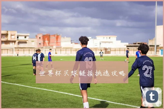 世界杯买球链接挑选攻略